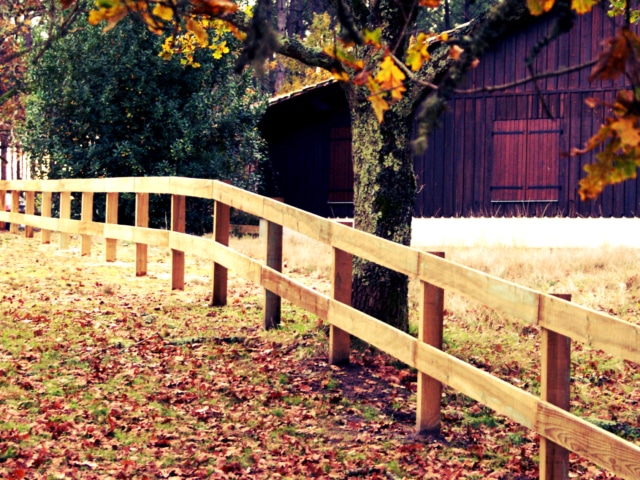 clôture campo en bois brut