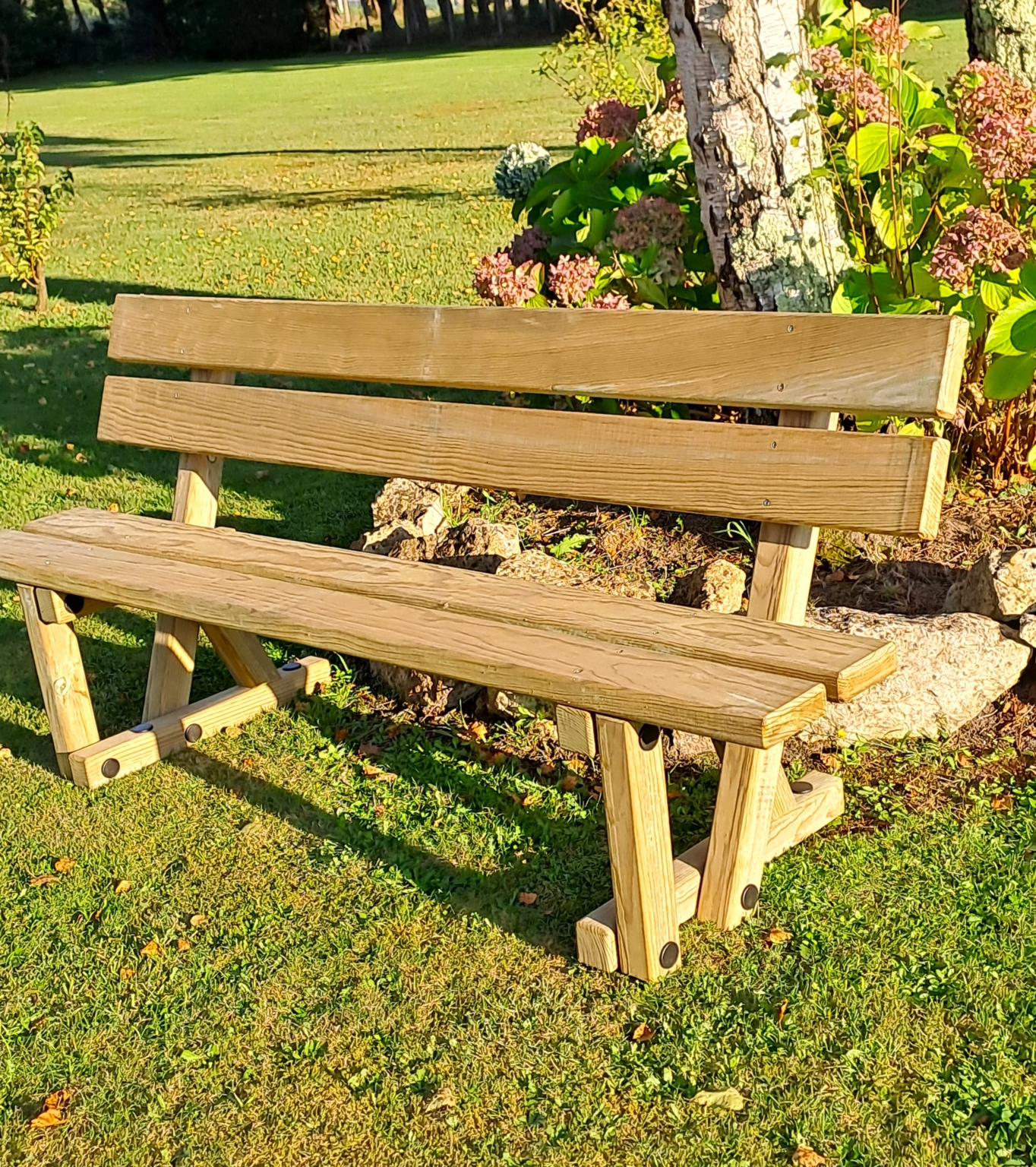 6 banc chalosse