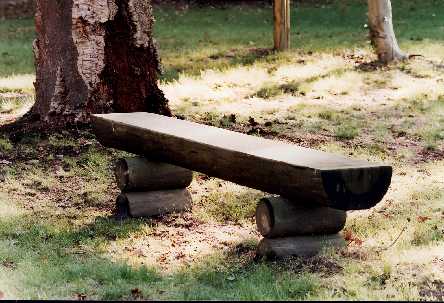 banc forestier