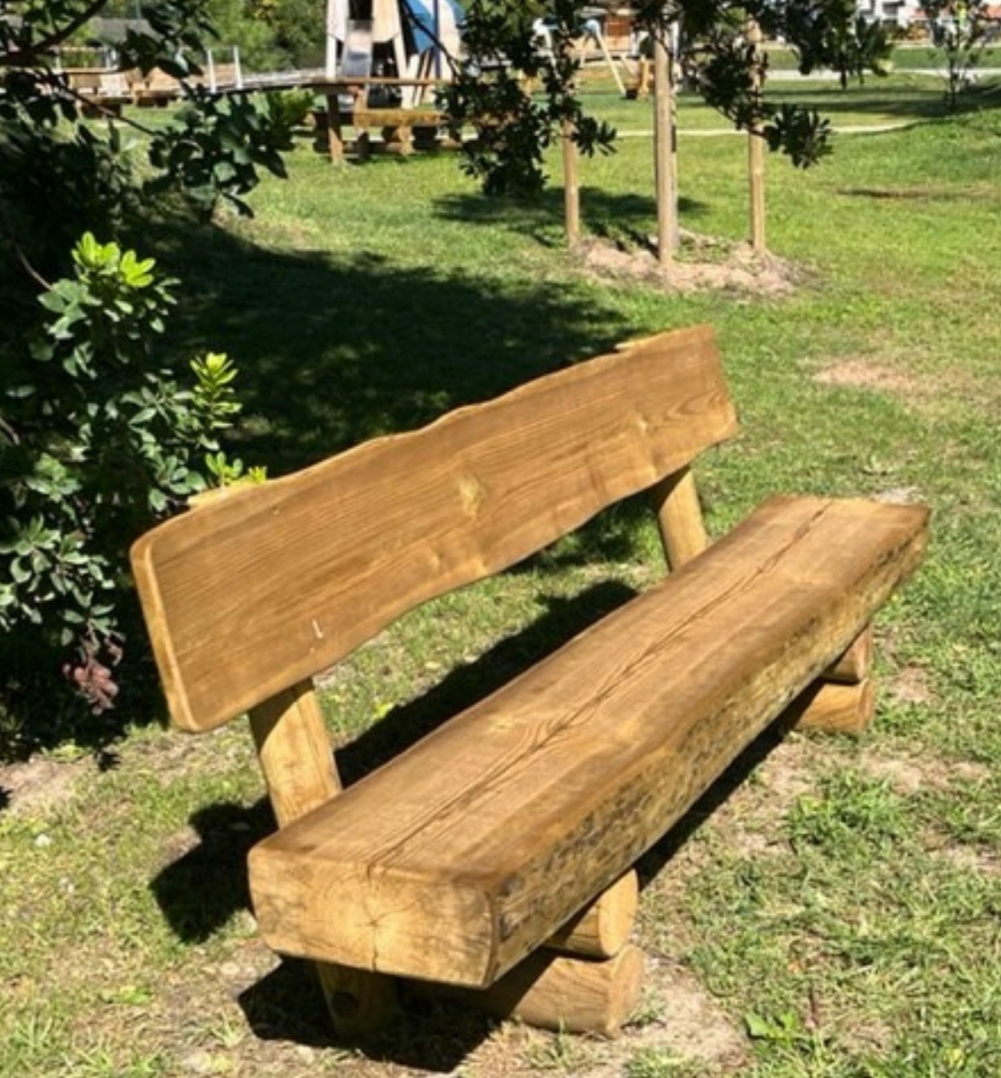 banc forestier dossier