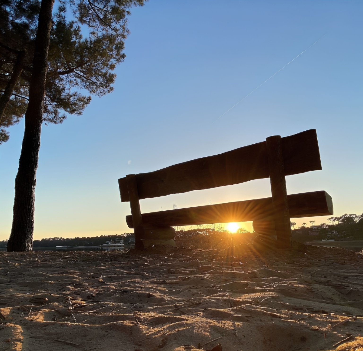 forestier lac hossegor