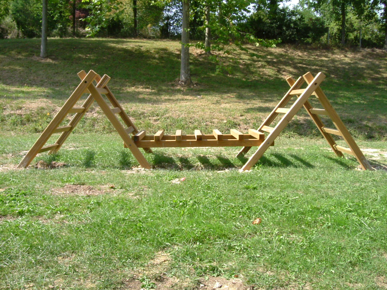 petit pont 1