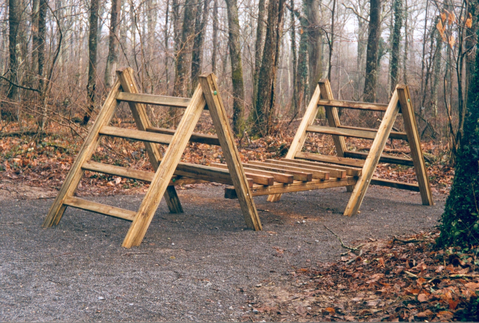 petit pont